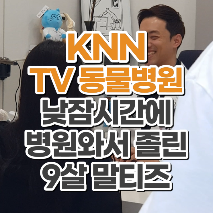  권도형 대표원장 KNN TV동물병원 촬영 소식 부산 닥터펫동물의료센터 9살 말티즈 신경계 동물병원
