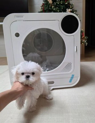  펫 드라이룸 - 반려동물 씻길때 필수