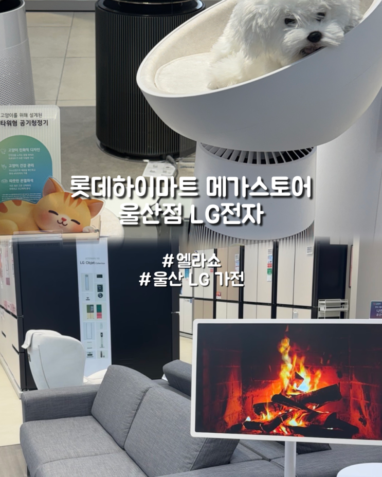  LG가전 최저가 엘라쇼 롯데하이마트 메가스토어 울산점