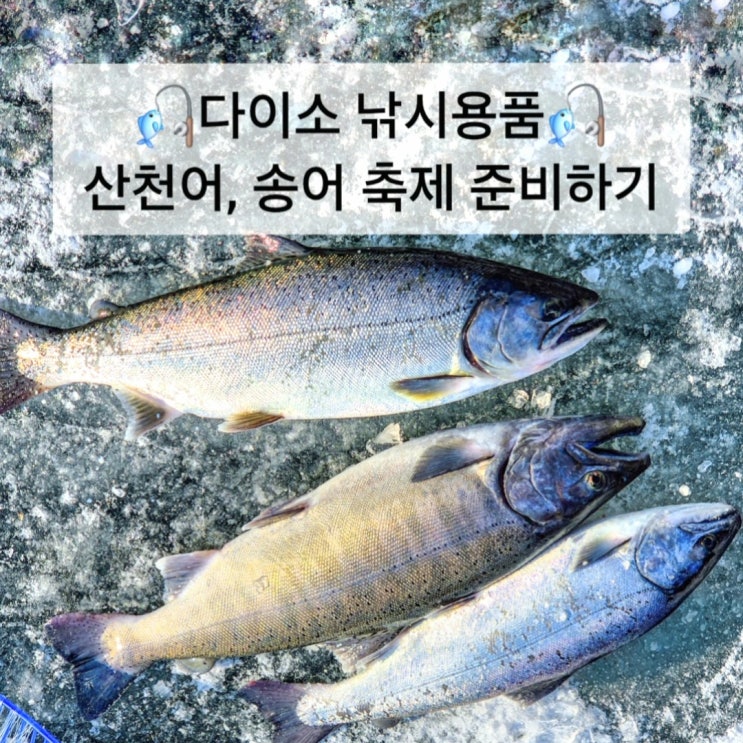  다이소 낚시용품 산천어, 송어 얼음낚시축제 채비 준비하기