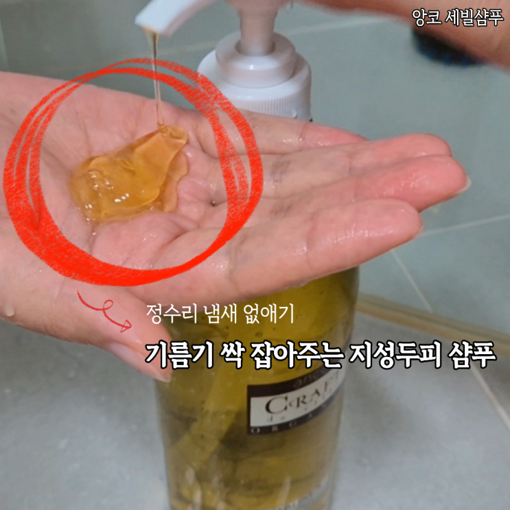  지성두피에 써본 앙코 지성두피샴푸 세빌샴푸 사용후기