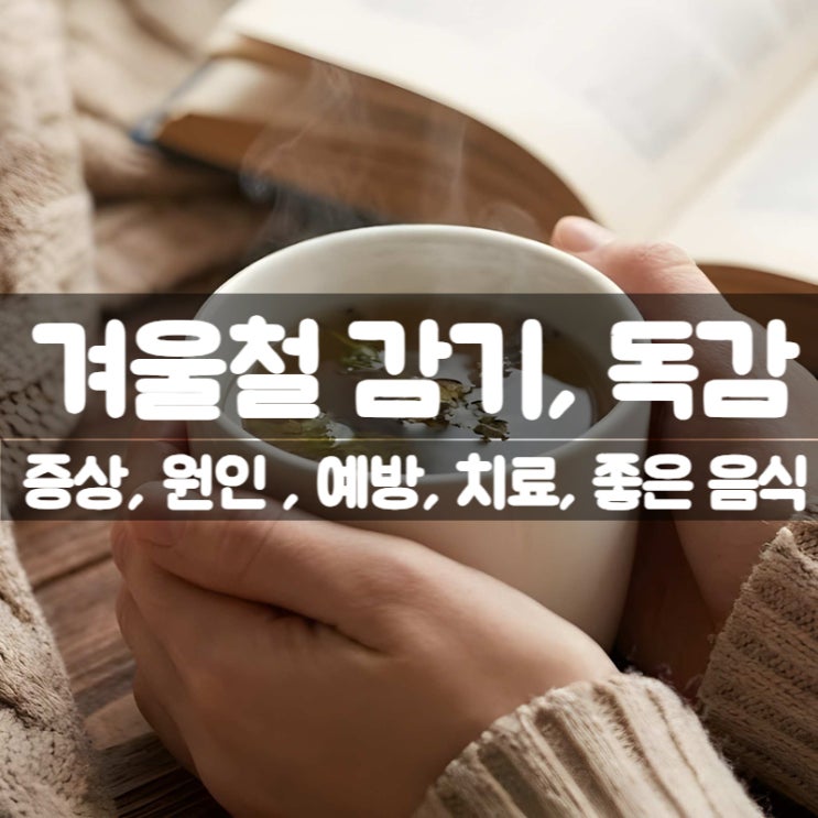 겨울철 감기, 독감 증상 원인 진단 예방법 치료법 좋은 음식