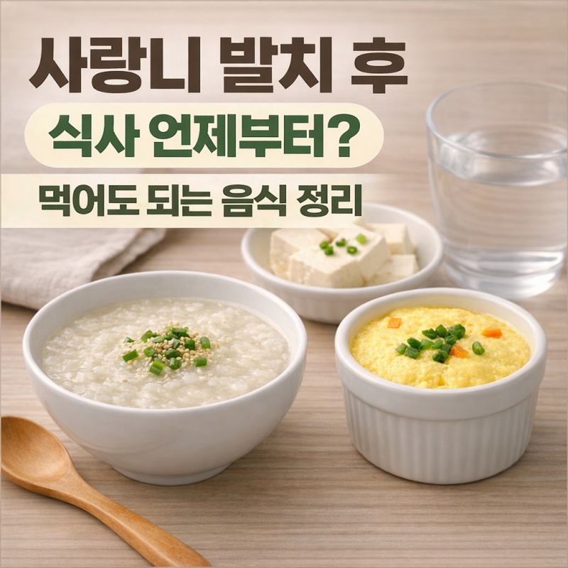 사랑니 발치 후 식사 언제부터? 먹어도 되는 음식 정리