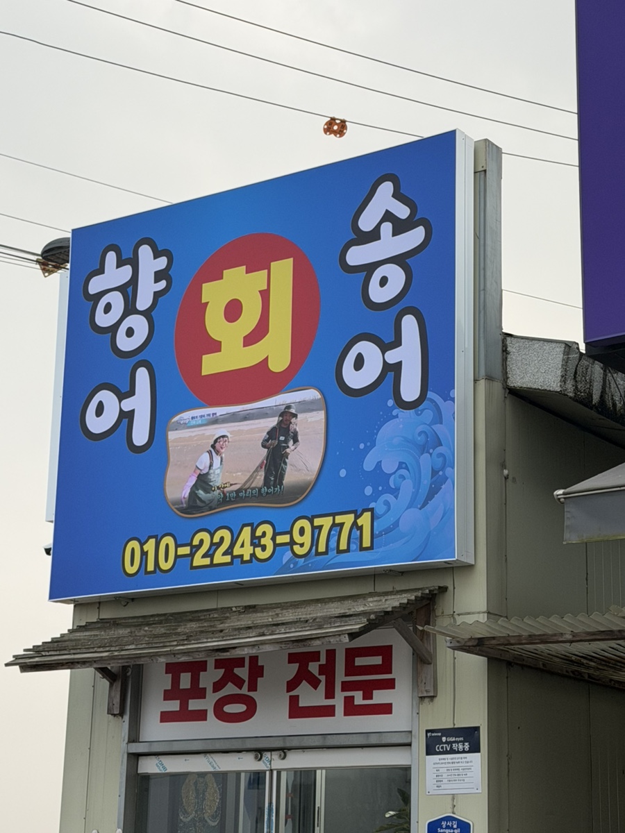 향어송어회 사진 3