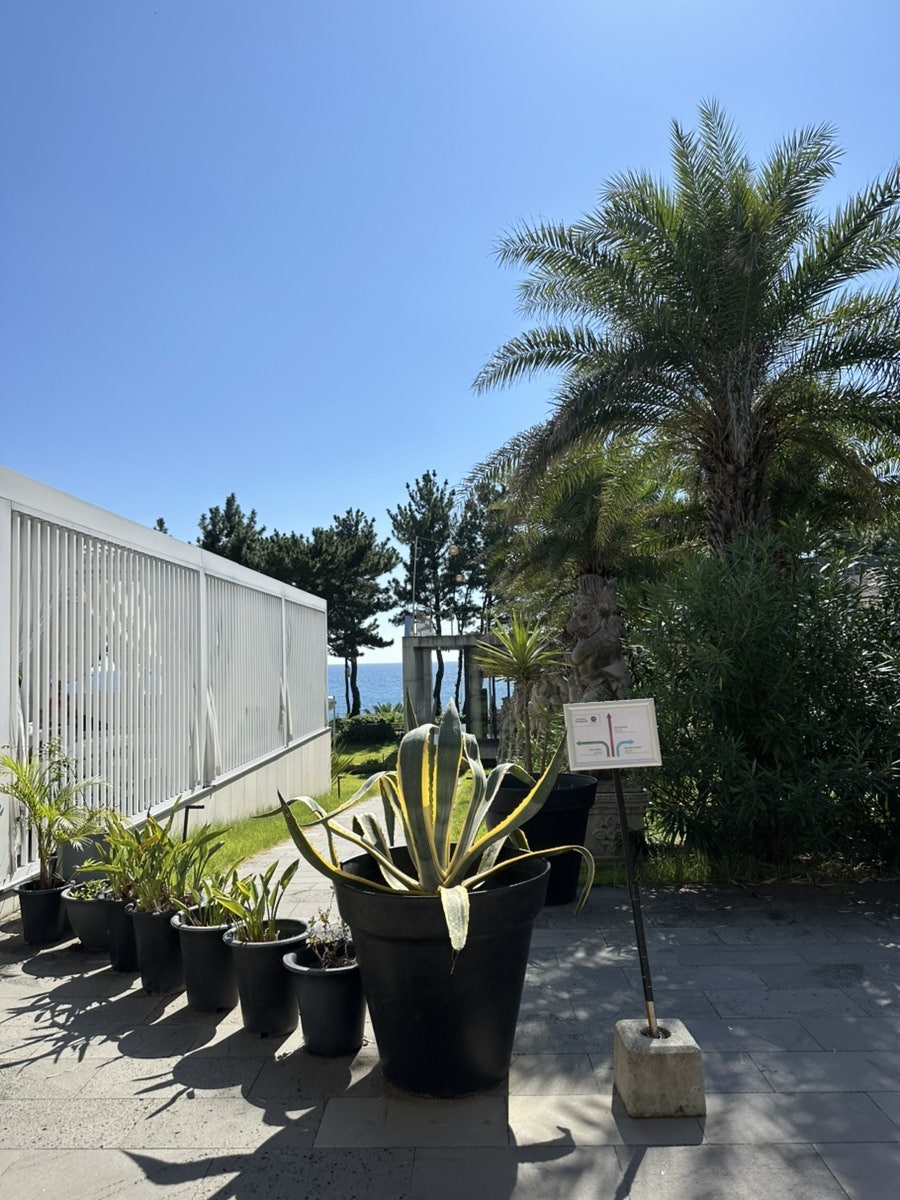 Nubabichi photo 1