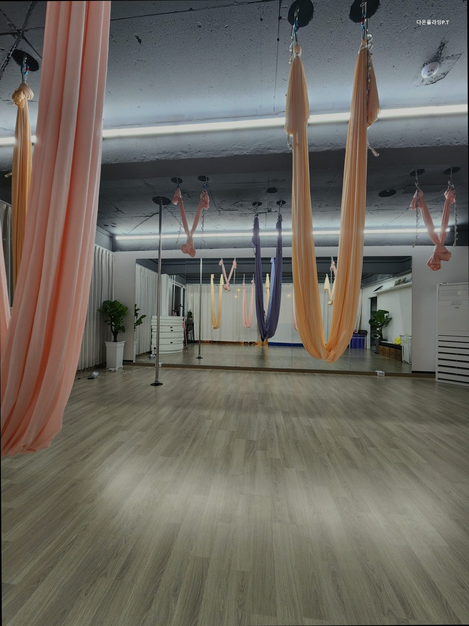 다온플라잉 P.T 사진 5