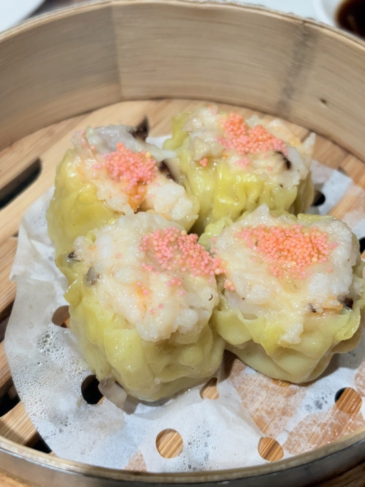  롯데월드몰 딤딤섬 잠실 롯데백화점 맛집 내돈내산 추천메뉴