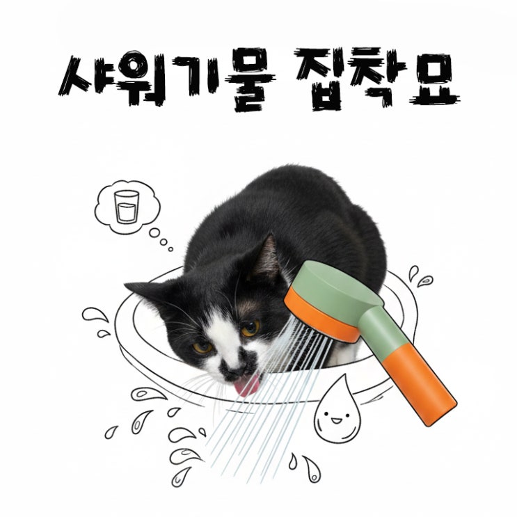  샤워기 물에 집착하는 고양이와 사는 집사의 욕실 관리법