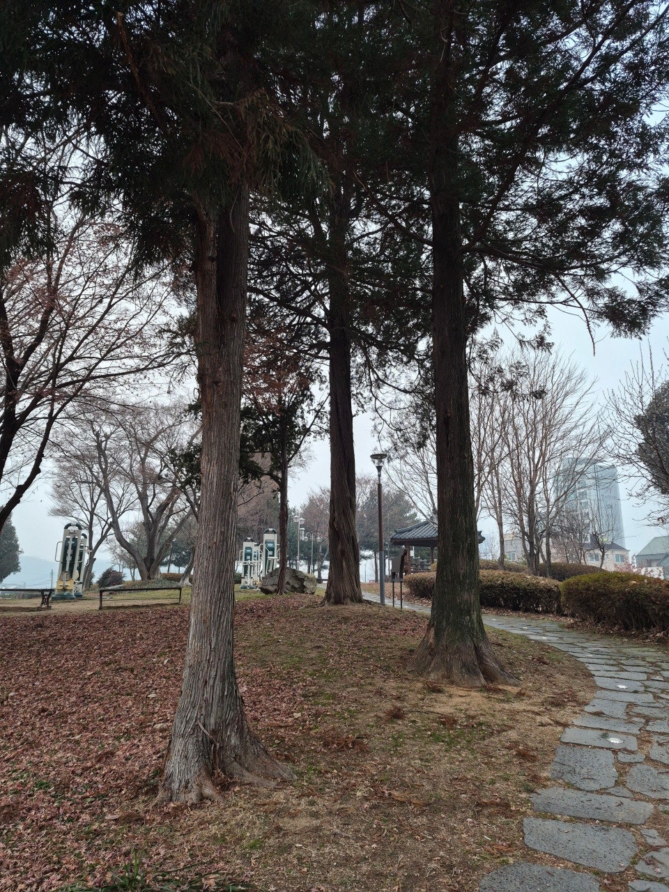장골 사진 1