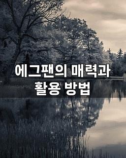 시샘 에그팬 7구 2구 활용 요리