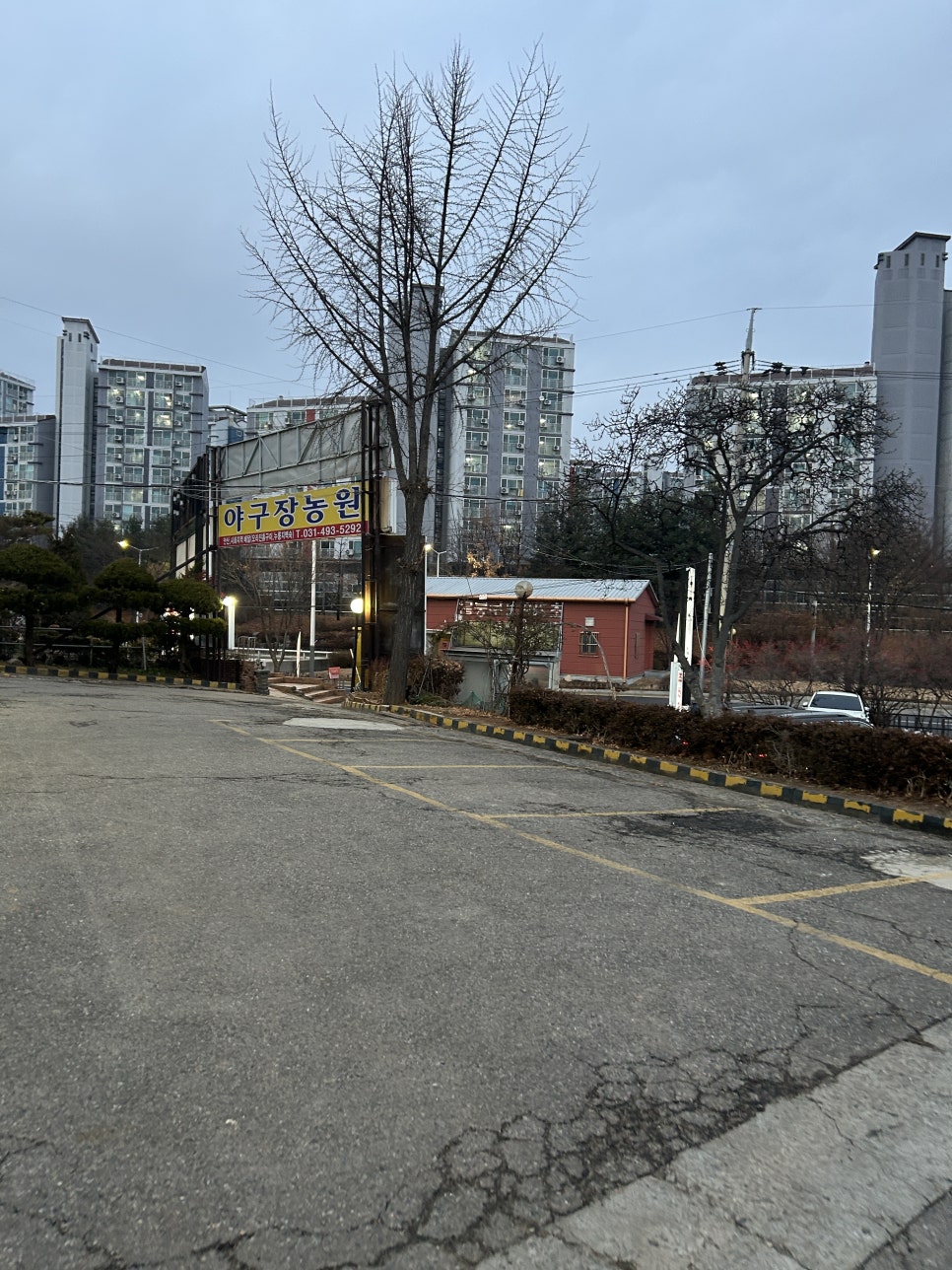 야구장농원 사진 4