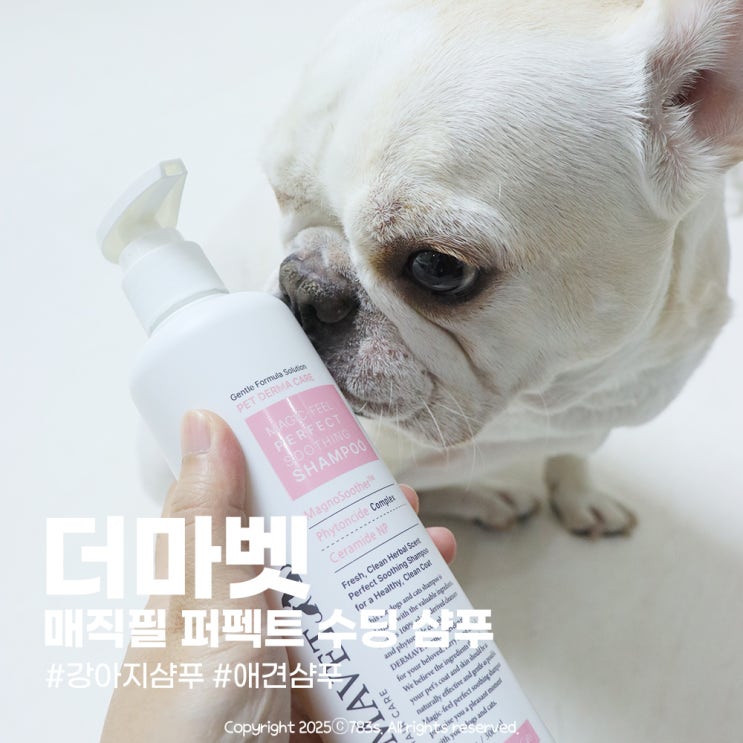  강아지 샴푸 추천 프렌치불독 피부병 냄새 제거에 좋아요