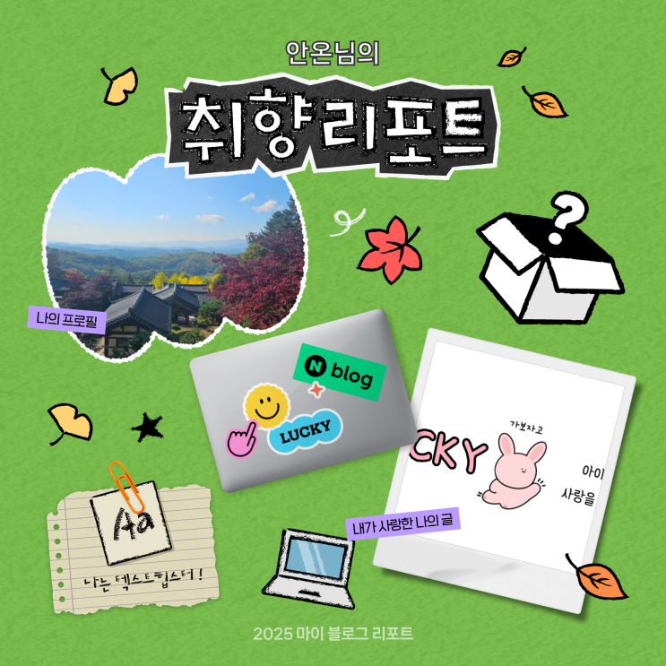  [2025 마이 블로그 리포트] 데이터로 채워보는 내 블로그 취향 리포트