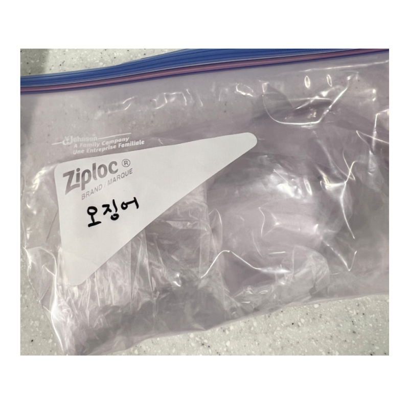 오징어 냉동 보관법, 이렇게 하니까 냄새 없이 오래가요