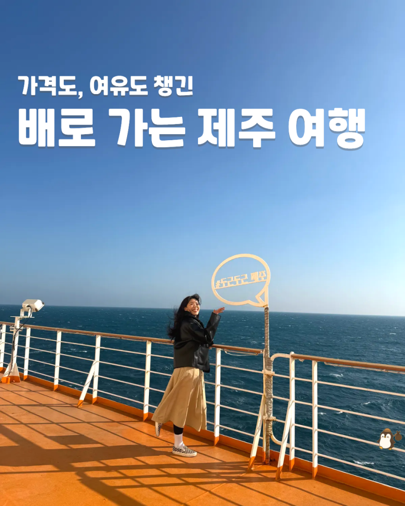 완도 제주도 배편 가격 요금 총정리 예약 방법과 실제 후기