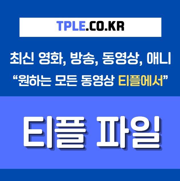  노제휴 웹하드와 티플 비교, 기준 잡고 선택해봤습니다