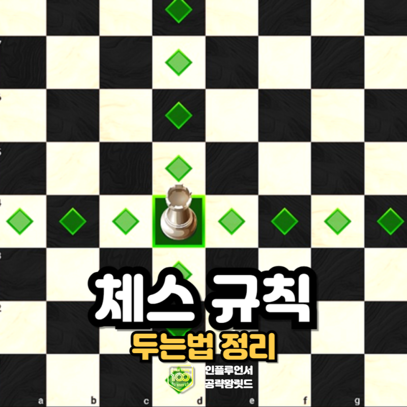 체스 규칙 킹 퀸 폰 말 나이트 캐슬링 두는법