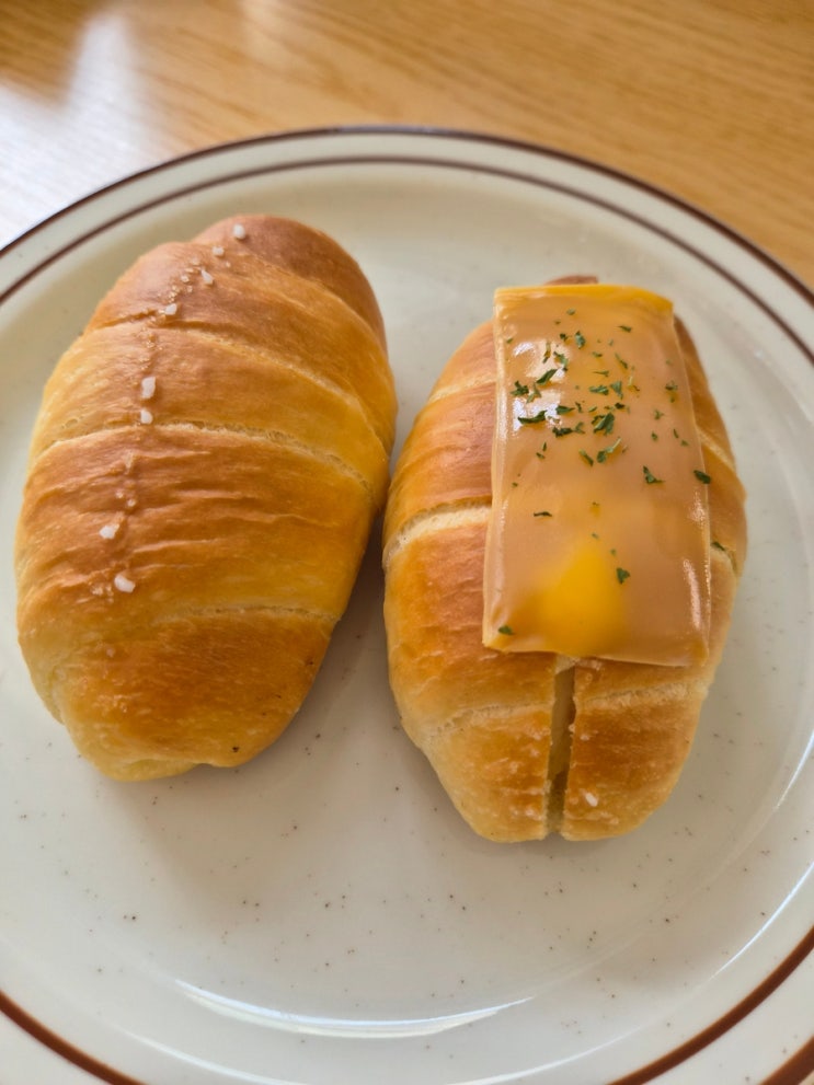  [군산 카페] 내돈내산 소금빵 맛집 크리스마스 트리 수송동 몽베 솔직후기