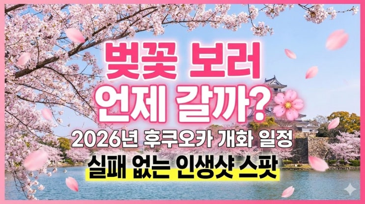  [2026 후쿠오카 벚꽃 명소] 개화시기 예상 & 인생샷 스팟 BEST 5 (마이즈루 공원/니시공원)