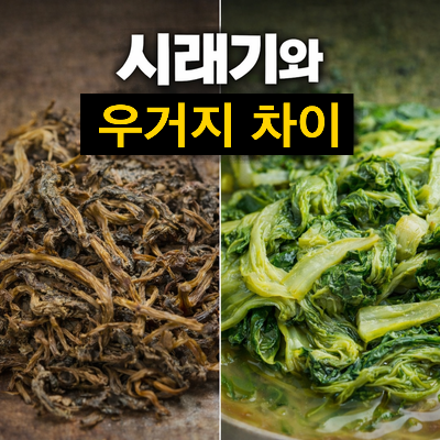 이영자가 애용하는 겨울 보약 시래기, 우거지와의 차이점 효능은?