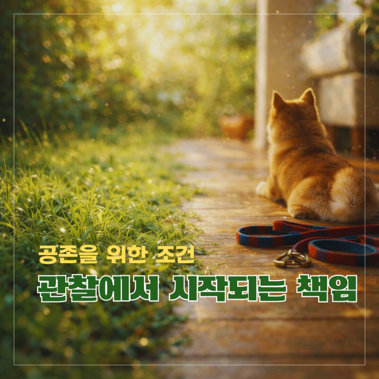  강아지 SFTS, 인수공통감염 전파구조와 2차 전파의 경고