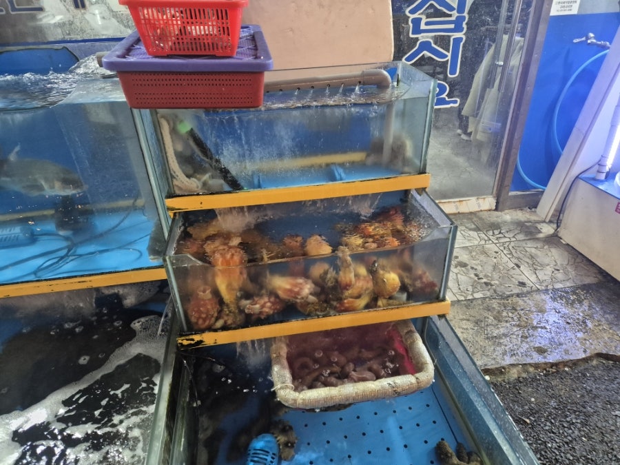 남양수산시장 사진 2