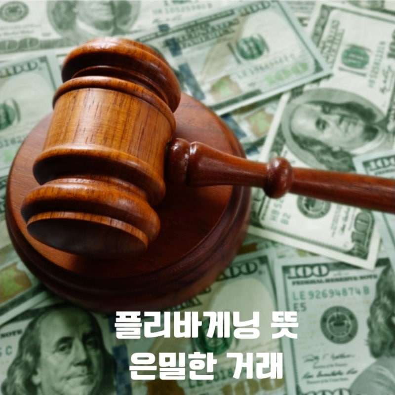플리바게닝 뜻 법정의 침묵 뒤에서 이루어지는 은밀한 거래