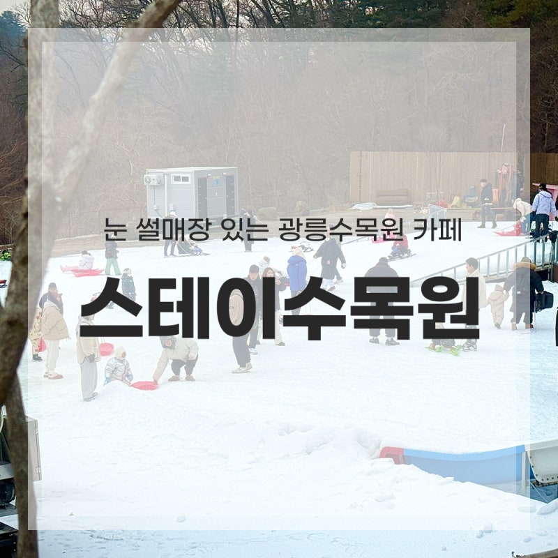 사진 3