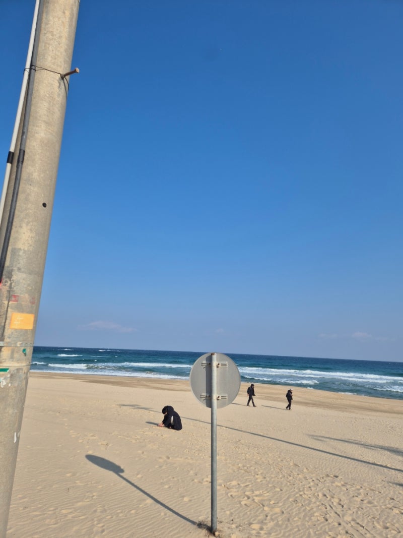 도깨비젤라또