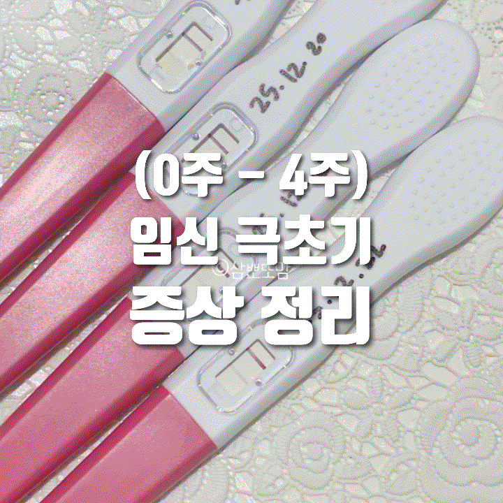  직접 겪은 임신 극초기 증상(0주-4주) | 조심조심 잘 해보자