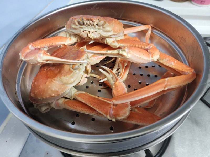 영덕대게 제철 시기 선장이 파는 영덕대게 택배배송 맛나