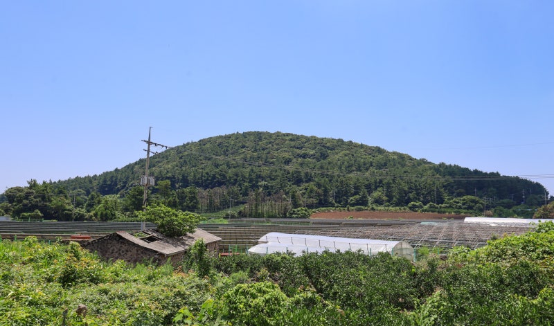 사진 3