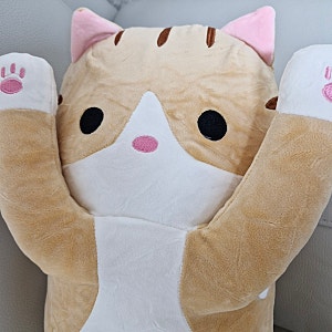 [꿀잠템 추천] 밤마다 뒤척이던 제가 드디어 꿀잠 자는 비법? lofi shop 고양이 롱 바디필로우 ....