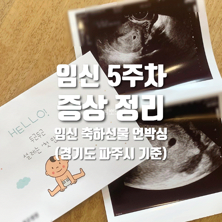  임신 4주차-5주차 기록 | 파주 임신 축하 선물 언박싱