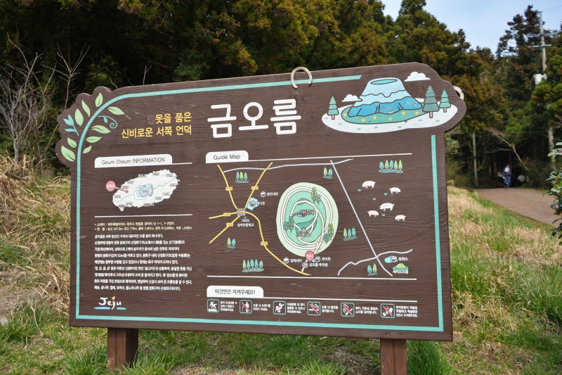 사진 7