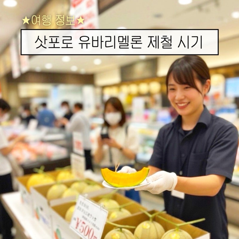 삿포로 유바리멜론 제철 시기 및 대체품 추천