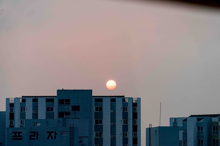 광주 일몰 노을 명소 사직공원전망대 타워 해넘이로 마무리