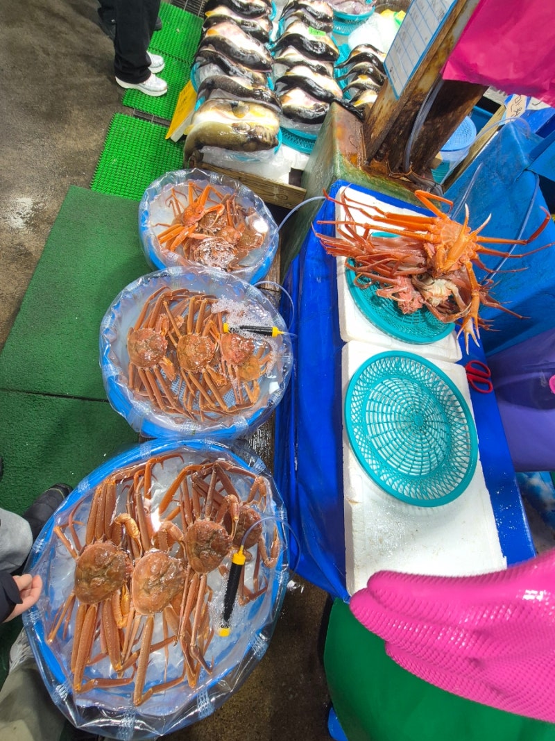 사진 2