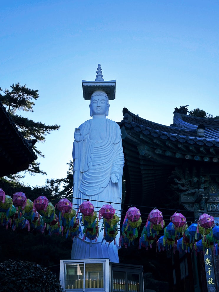  부산 해돋이 명소 기장 해광사 조용한 동해 일출 사찰