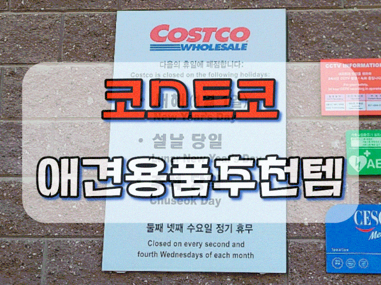  코스트코 애견용품 강아지간식,방석 할인 추천상품