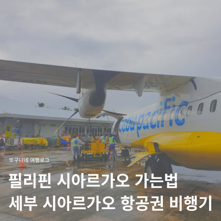  시아르가오 가는법, 필리핀 세부에서 시아르가오 항공권 예약 비행기 탑승 후기