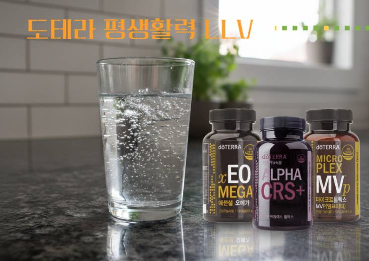  건강한 하루의 시작 도테라 평생활력 LLV 건강기능식품의 구성과 필요성