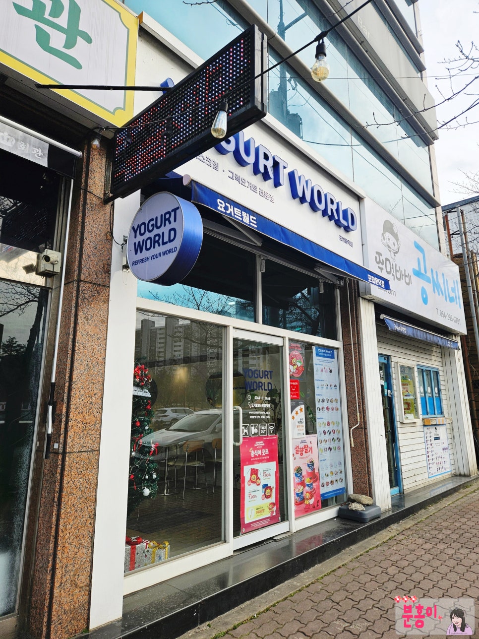 요거트월드 포항스틸야드점 사진 2