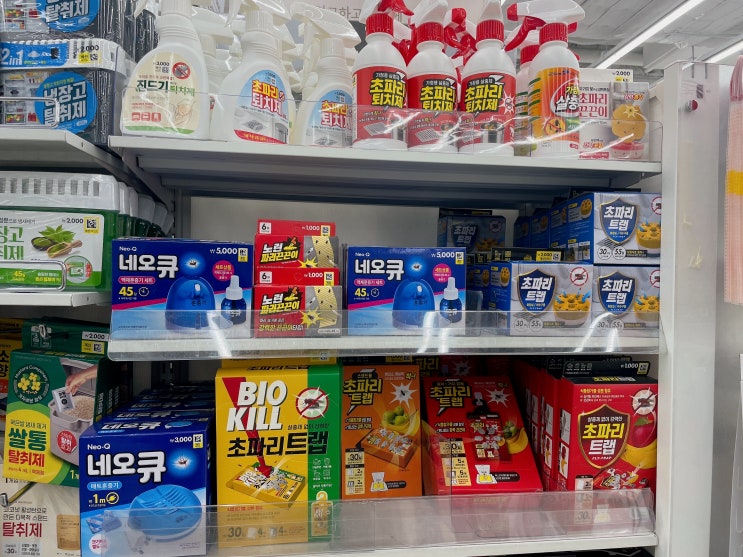 다이소 초파리 트랩 끈끈이 퇴치제 후기 화분 초파리 없애기