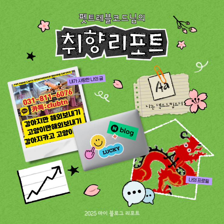  [2025 마이 블로그 리포트] 데이터로 채워보는 내 블로그 취향 리포트