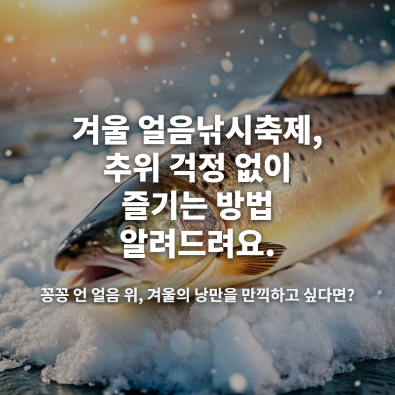 겨울 얼음낚시축제, 추위 걱정 없이 즐기는 방법 알려드려요