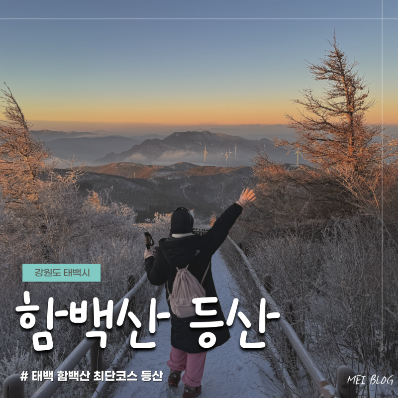 [태백] 강원도 겨울 새벽 산행 설경 일출 명소 정선 함백산 등산 최단코스