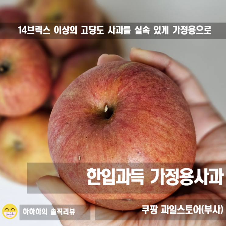  가정용사과를 청송사과 2kg 실속있게 자주 사먹기 한입과득