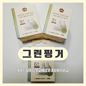 그린핑거 젖꼭지 교체시기 사이즈 비교부터 열탕소독 호환 젖병까지 내돈내산 후기