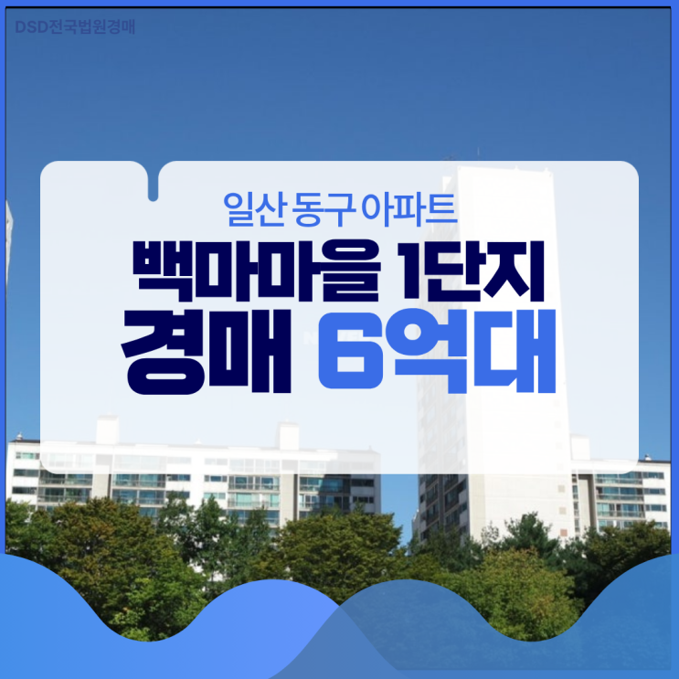  백마마을 1단지, 경매로 싸게 잡는 재건축 물건